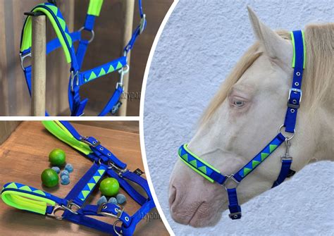 custom made halters for horses.